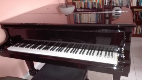 Zongora Feurich 161 