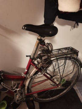 Bicikli, Caprine