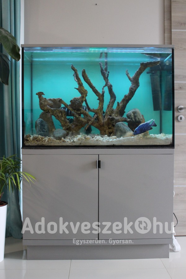 300 literes akvárium