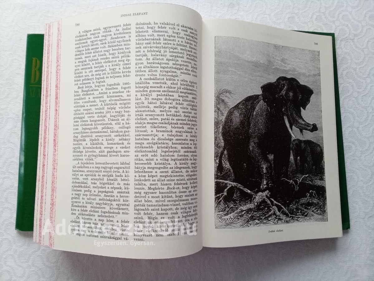 Brehm Alfréd: Az állatok világa egy kötetben