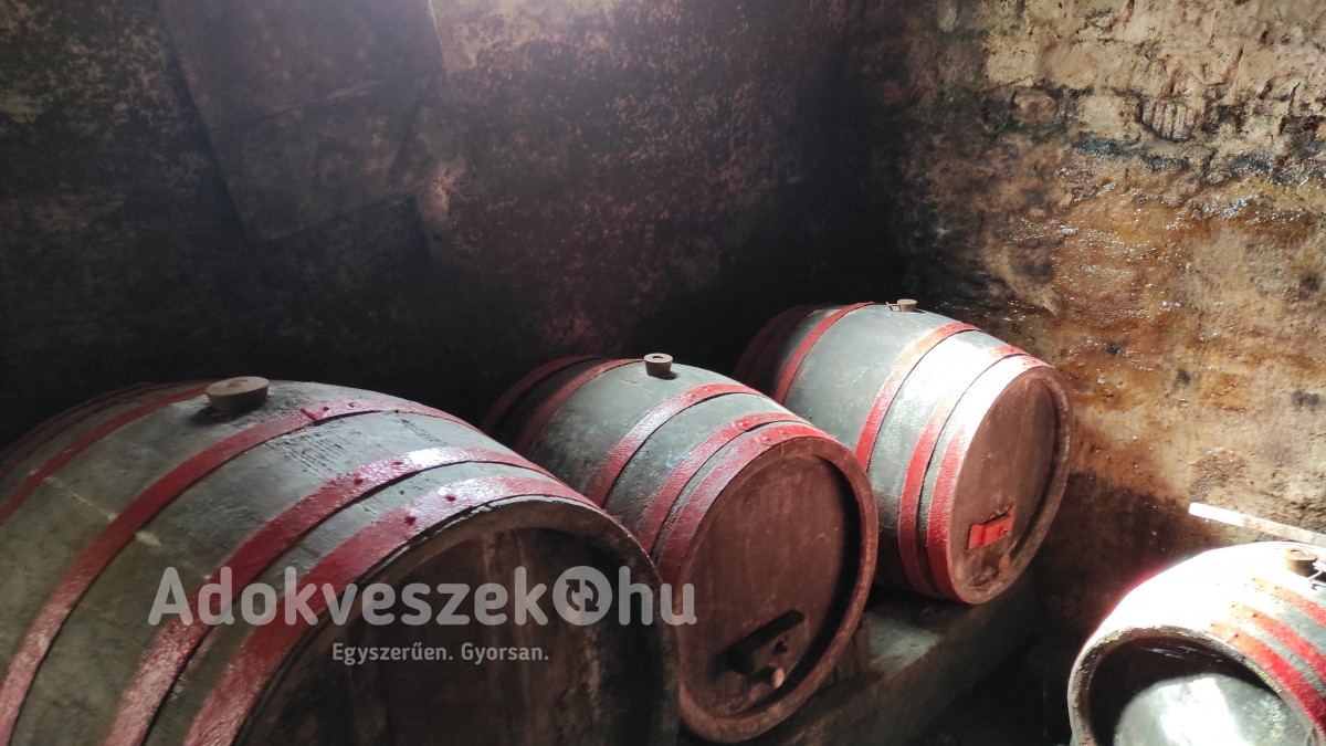 Zalaegerszeg Botfán hétvégi ház szőlővel, gyümölcsössel eladó