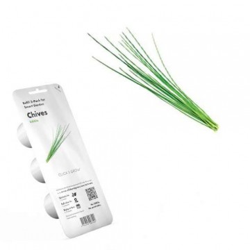 Click & Grow Chives - PC