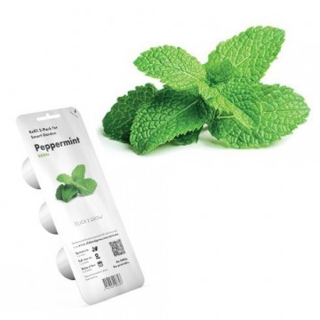 Click & Grow Peppermint - PC