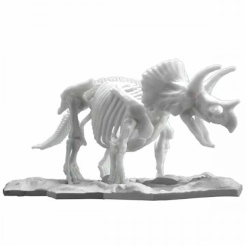 Dinosaur Model Kit Skeleton Triceratops