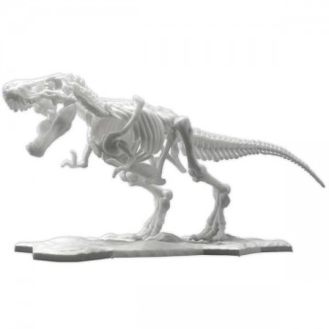 Dinosaur Model Kit Skeleton Tyrannosaurus