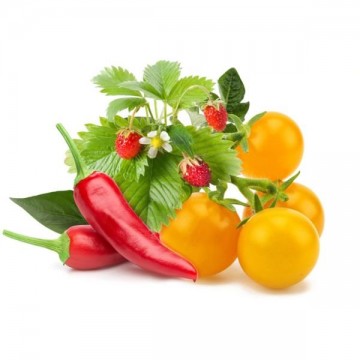 Smart Garden Mix gyümölcs és zöldség 3-pack - PC