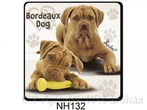 Bordeaux Dog kutyás hűtőmágnes