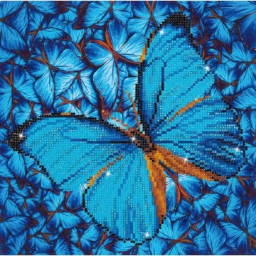 gyémántfestő kép, kék pillangó