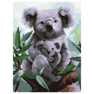 Koala - Számfestő készlet, kerettel (30x40 cm)