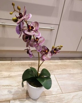 Lila orchidea dekor 1 szálas