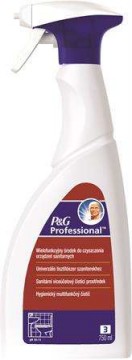 PG PROFESSIONAL Fürdőszobai tisztító spray, 750 ml, PG...