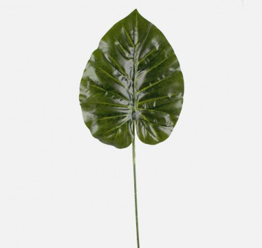 Philodendron levél 48cm