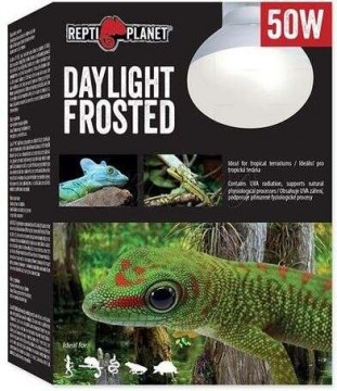 Repti Planet Frosted Daylight - Trópusi nappali hideg fényt...