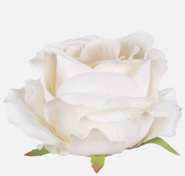 Rózsa Virágfej 12cm - krém