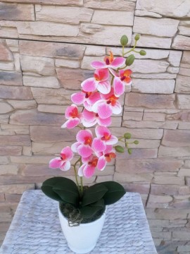 Rózsaszín csíkos 1 szálas orchideadekor