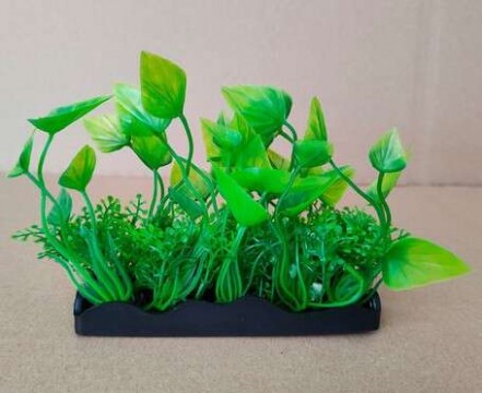 Zöld akváriumi műnövénytelep csésze formájú levelekkel és...
