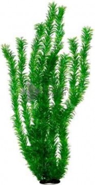 Zöld hosszú szárú hínár akváriumi műnövény (90 cm)