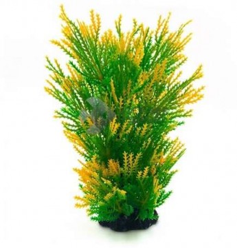 Zöldből sárgába átmenő tüskés levelű akváriumi műnövény...