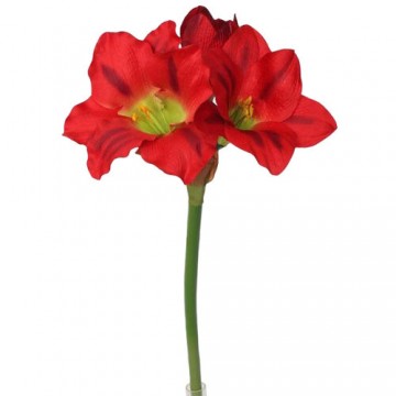 Mű amarilisz, piros, 52 cm