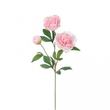 Mű bazsarózsa, 67 cm, világos rózsaszín