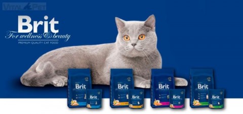 Brit Premium Cat Adult salmon 8 kg