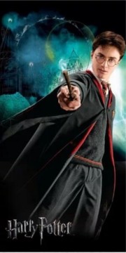 Harry Harry Potter 70x140 cm (008380)
