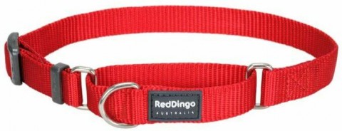 Red Dingo Martingale nyakörv L piros