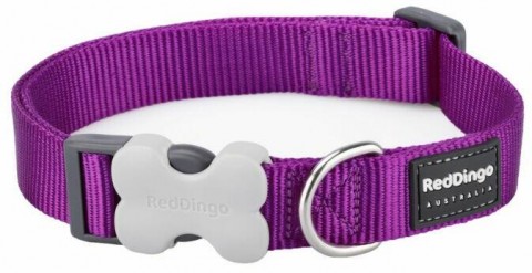 Red Dingo Purple nyakörv XS lila