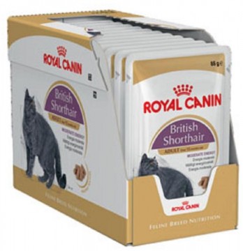Royal Canin FHN British Shorthair 12x85 g