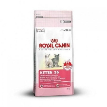 Royal Canin FHN Kitten 36 2 kg