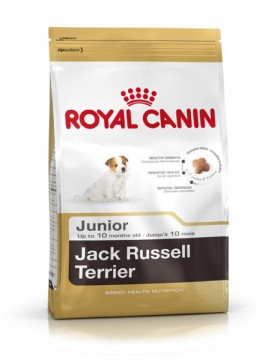Royal Canin Jack Russell Terrier Junior 0,5 kg