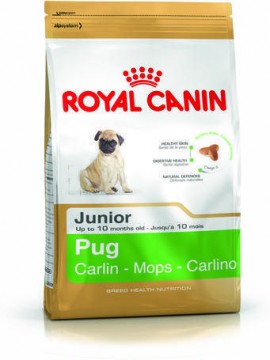Royal Canin Pug Junior 500 g