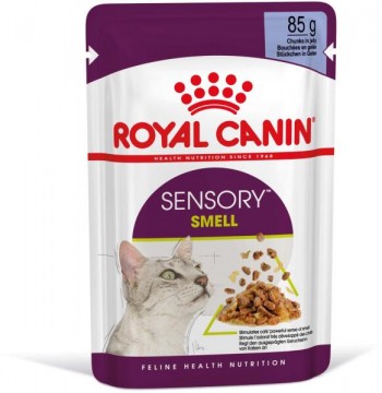 Royal Canin Sensory Smell jelly 12x85 g