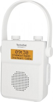 TechniSat DigitRadio 30 (3955)